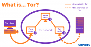 Read more about the article Trình duyệt Tor là gì?