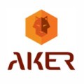 Aker Security Solutions