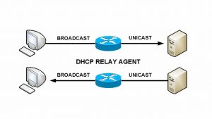 Read more about the article Pfsense: Hướng dẫn cấu hình tính năng DHCP Relay trên Pfsense